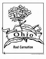 Ohio Coloring State Pages Flower Brutus Buckeye Buckeyes Football Drawing Osu Printables Kids Carnation Red Getdrawings Popular Comments sketch template