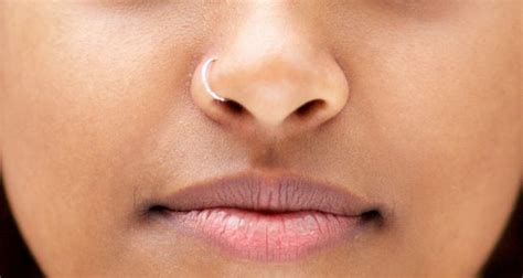 human nose fact  factrepubliccom