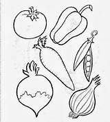 Legumes Vegetais Verduras sketch template