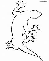 Gecko Template Drawing Coloring Pages Getdrawings Printable sketch template