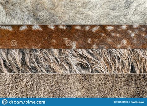 collage van fotos van wol en bontjas van verschillende dieren hertengeitenbonenkollage stock
