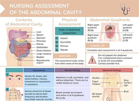 abdominal assessment  cheat sheet lecturio nursing