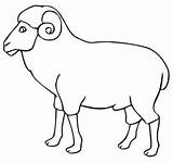 Ram Coloring Outline Sheep Pages Printable Kids Clipart Animal Drawing Locust Preschool Supercoloring Clipartmag Baby Da Lamb Results Cardboard Vector sketch template
