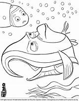 Nemo Finding Coloring Printable Library Many So Make sketch template