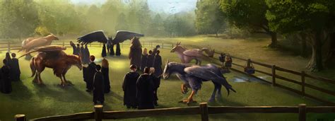 pottermores guide  hippogriffs wizarding world