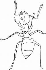 Ant Fourmi Ants Printables Coloriages Colorier sketch template
