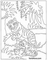 Tigers Cubs Mama Cub sketch template