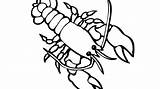 Lobster Coloring Getdrawings sketch template