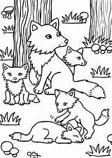 Colouring Tulamama Catdog sketch template