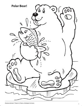 arctic animals coloring page printable arctic animal coloring pages