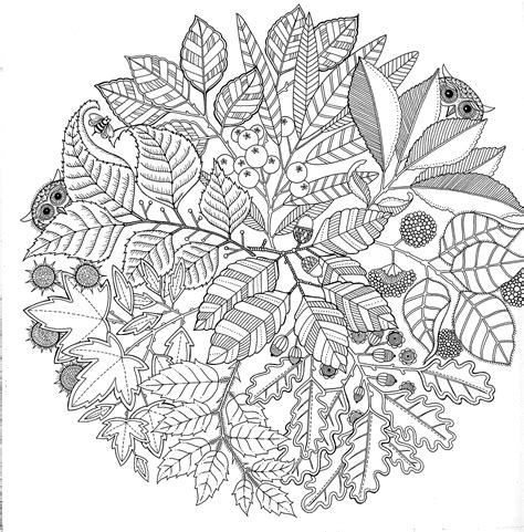 adult coloring books  coloring pages