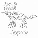 Jaguar Illustration Coloring Vector Letter Children Alphabet Zoo Animals English Card Kids sketch template