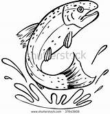 Trout Rainbow Drawing Line Clip Clipart Brook Fish Jumping Coloring Vector Shutterstock Drawings Stencil Patterns Color Template Pages Printable Illustrations sketch template