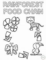 Rainforest Chain sketch template