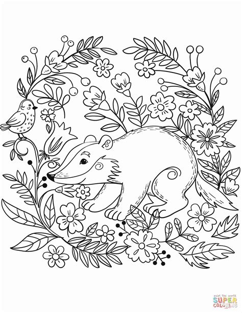 nocturnal animal coloring pages