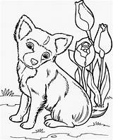 Kluifjes Puppy Kleurplaat Honden Vermaak Cultuur Originele Kluifje sketch template