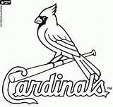 Cardinals Cardinal Cardenales Toppng Luis Fredbird Pngfind Pngkit Steelers Louisville Representation Vhv sketch template