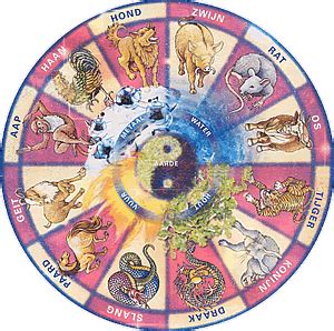 horoscoop chinees zodiac calm astrology animales horoscope