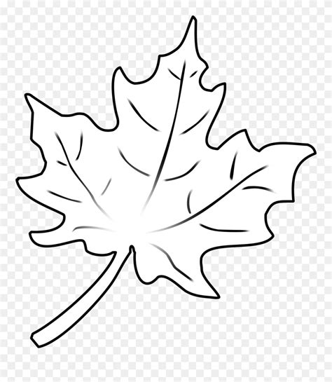 fall leaf outline png clipart  pinclipart