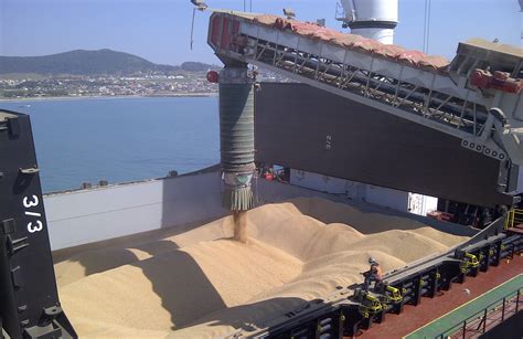 ship loading solution boosts efficiency  brazil