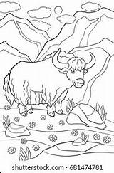 Coloring Pages Shutterstock Animals sketch template