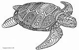 Tiere Ausmalbilder Schildkröte Muster Tier Animals Ausmalen Happycolorz Chamäleon Schwan Tukan Pferd sketch template