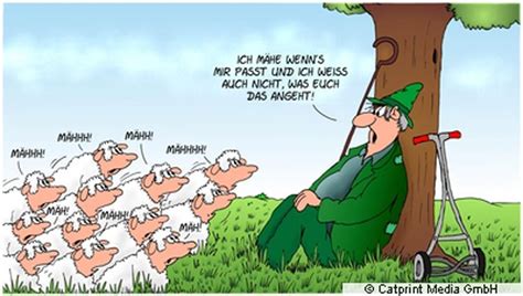 Foto Show Daily Cartoon Lustige Bilder Steine Sprüche Zum Totlachen
