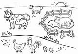 Fazendinha Fazenda Animais Bichos Bichinhos Anagiovanna sketch template