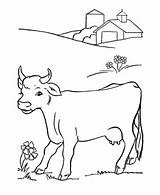 Cow Coloring Pages Printable Cute Pasture Grazing Far sketch template