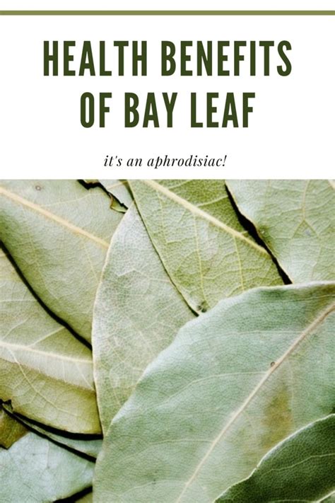 The Benefits Of Bay Leaf Eat Something Sexy