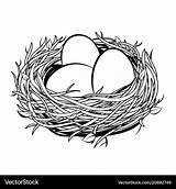 Coloring Egg Nest Pages Vector sketch template