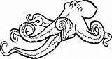 Octopus Drawing Line Outline Choose Board Coloring sketch template