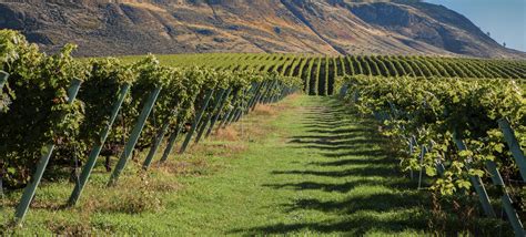 valley vineyards circle  tours drives travel british columbia