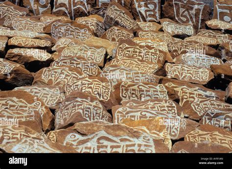 mani rocks  buddhist inscriptions himalayas ladakh india stock photo alamy