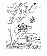 Kleurplaat Leeuwenkoning Kleurplaten Simba Leone Coloriages Coloriage Konig Lowen Malvorlagen Animaatjes Mewarnai 2923 Animasi Bergerak Disneymalvorlagen sketch template