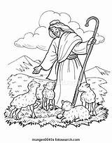 Shepherd Hirte Sheep Pastorul Gute Shepherds Shino Bibel Iisus Formator Mariana Nicoleta sketch template