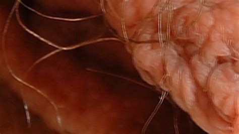 female textures kiss me hd 1080p vagina close up hairy sex pussy by rumesco eporner