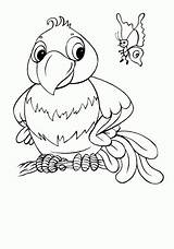 Ausmalbilder Papuga Papagei Kolorowanka Pappagallo Farfalla Kolorowanki Schmetterling Tukany Dzieci Ausmalbild Parrot Ptaki Motyl Drukuj sketch template