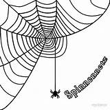 Spinnennetz Ausmalbilder Malvorlagen Cool2bkids sketch template