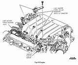 Carlo Monte Sensor Ss Chevy Cam Position Template sketch template