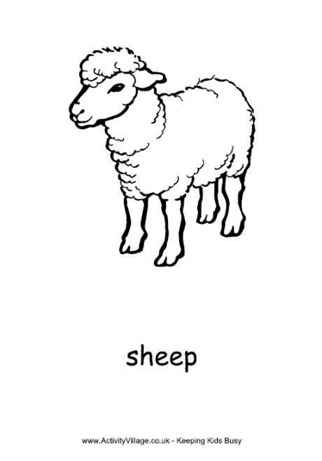 sheep colouring page
