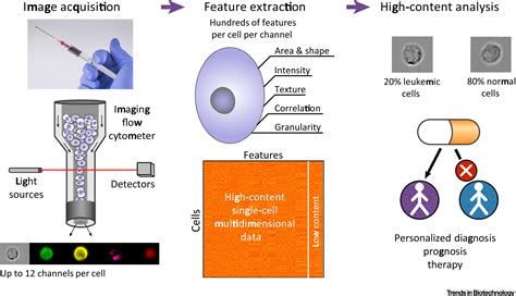 diagnostic potential  imaging flow cytometry trends  biotechnology