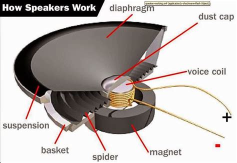 parts   speaker electrical engineering pics