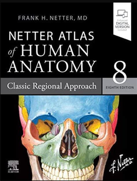 netter atlas  human anatomy classic regional approach  edition