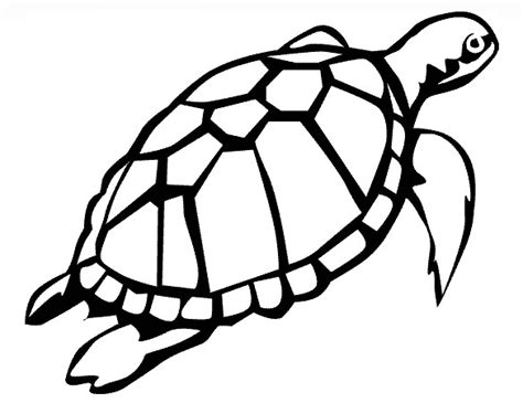 turtle template clipart