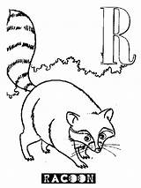 Coloring Raccoon Alphabet Netart sketch template