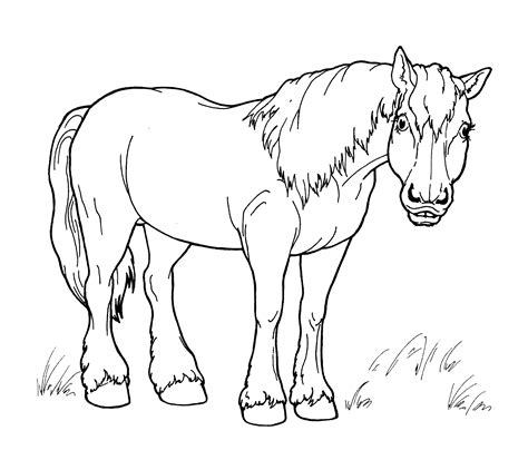coloring page horse   walk