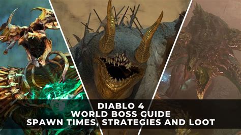 diablo  world boss guide world boss spawn times strategies