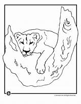 Coloring Lioness Pages Tree Lion Coloringtop Animal sketch template