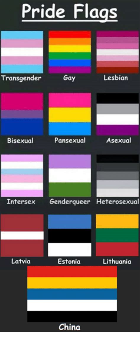 pride flags transgender gay lesbian pansexual asexual